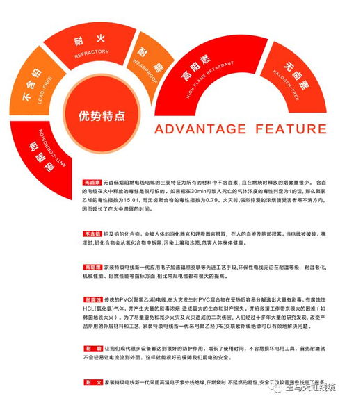天虹線纜 助力傳統村落煥新顏，守護黔溪村電氣安全